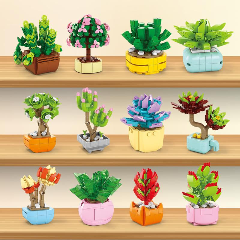 24 Pack Valentine’S Day Mini Gift Sets with Greeting Cards Succulent, Ocean Animal & Flower Desk Decorations Small Holiday Gifts for Classroom Exchange & Party Favors