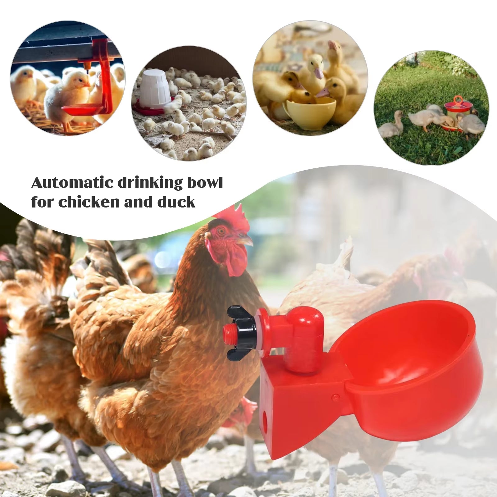 Revolutionary Automatic Poultry Watering Cups for Chickens and Ducks - Convenient Sets of 6 to 36, Effortless Installation!