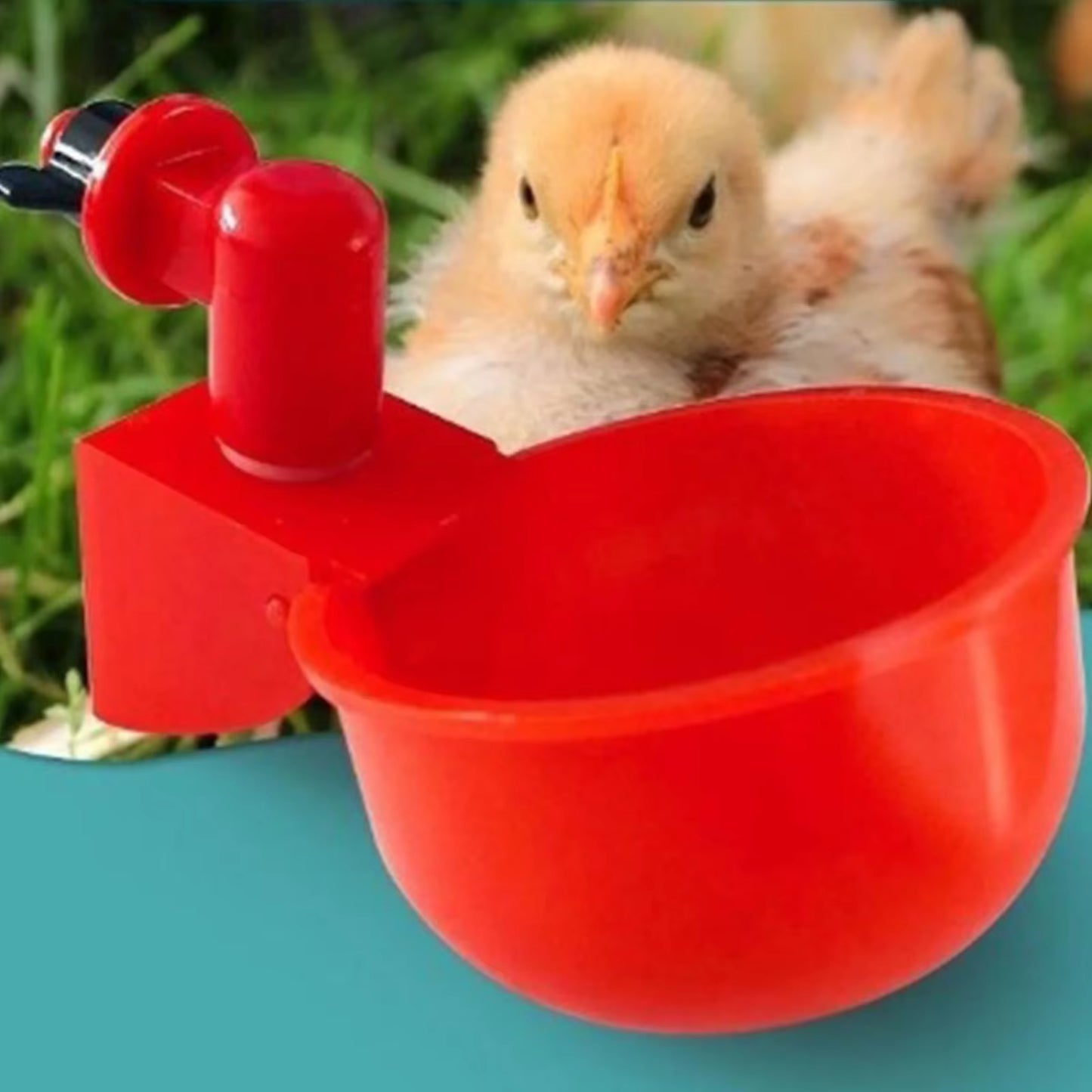 Revolutionary Automatic Poultry Watering Cups for Chickens and Ducks - Convenient Sets of 6 to 36, Effortless Installation!