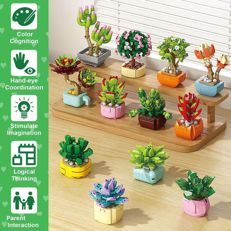 24 Pack Valentine’S Day Mini Gift Sets with Greeting Cards Succulent, Ocean Animal & Flower Desk Decorations Small Holiday Gifts for Classroom Exchange & Party Favors